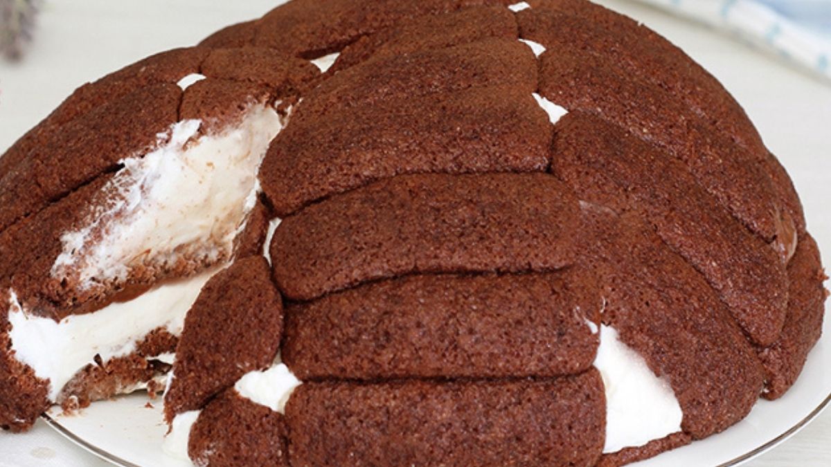 Charlotte au Nutella sans cuisson dessert facile et rapide