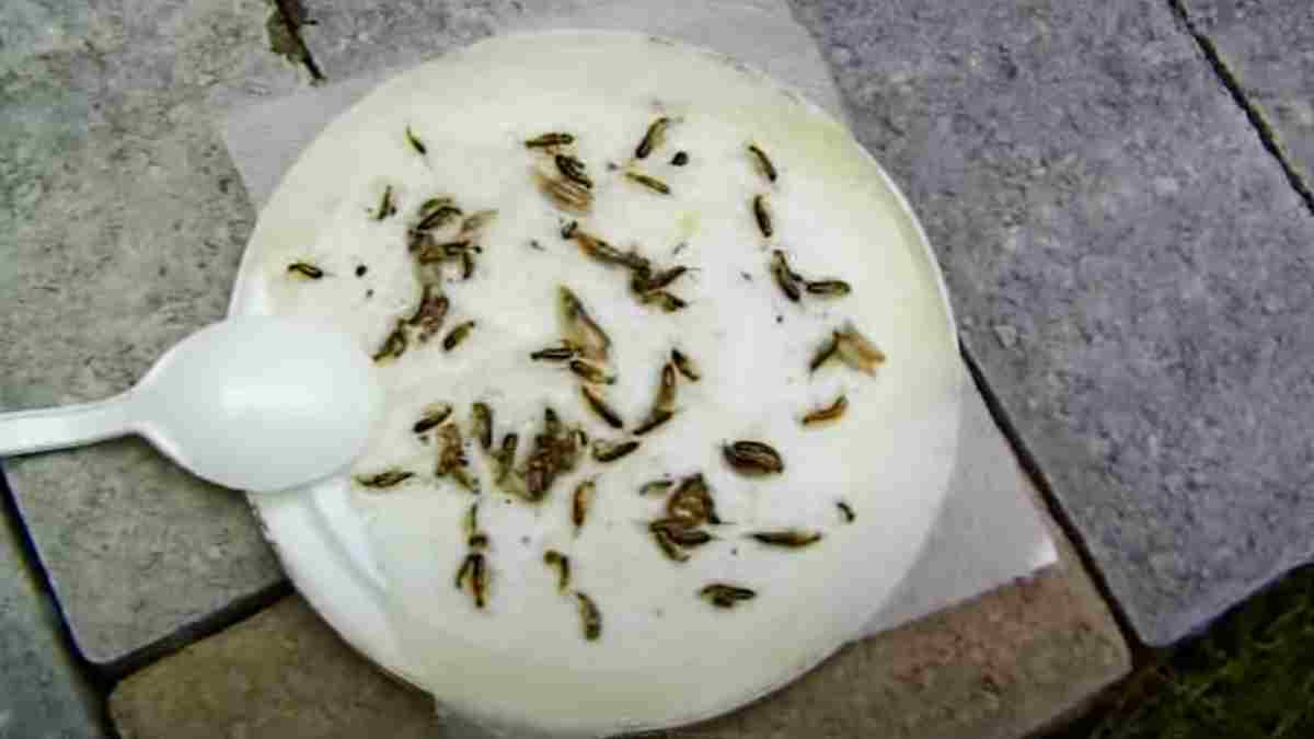 6 conseils efficaces afin de se