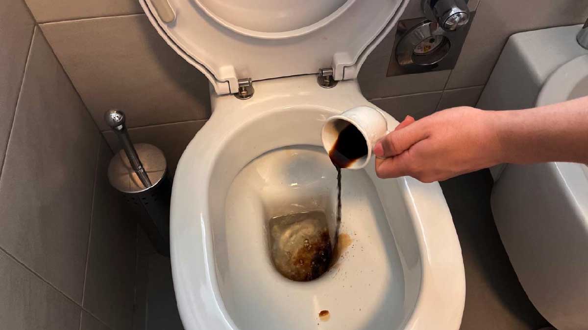 A partir de maintenant, vous n’arrêterez plus de jeter une tasse de café dans les toilettes pour cette raison étonnante