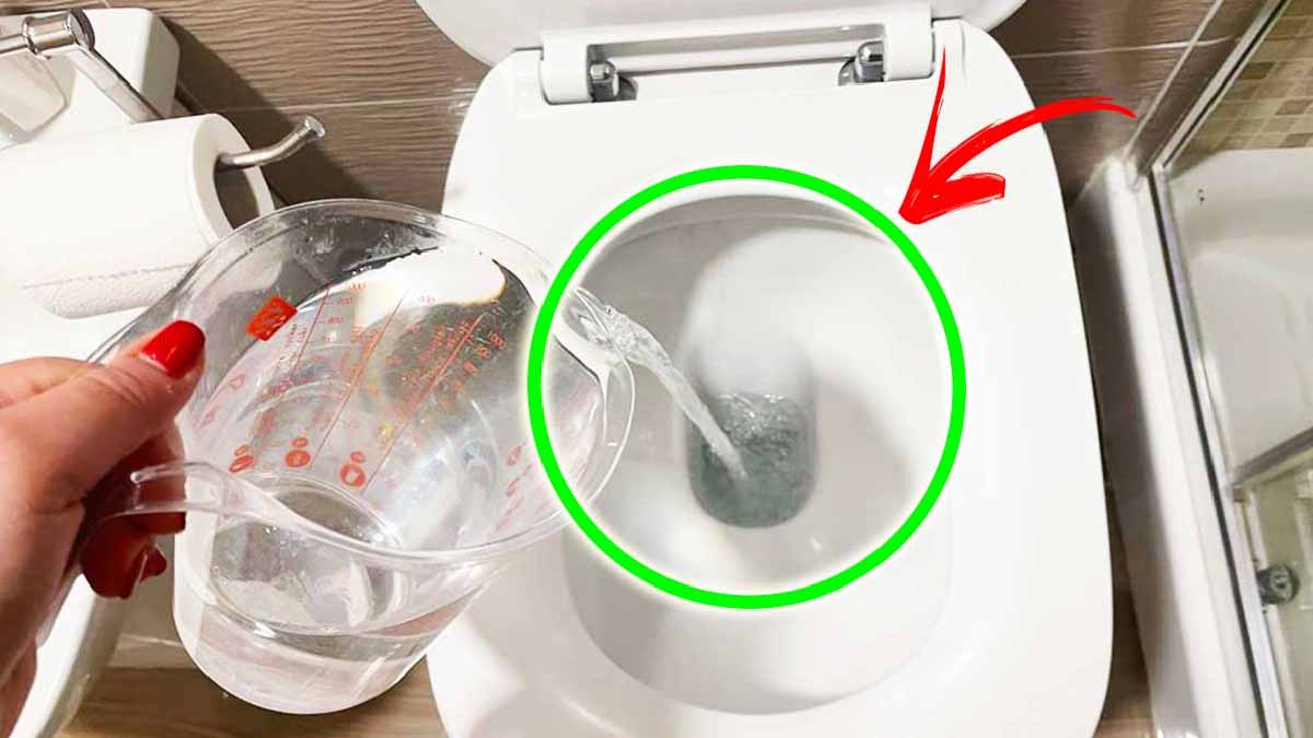 Adieu les mauvaises odeurs de la canalisation des toilettes : cette astuce vous laissera sans voix