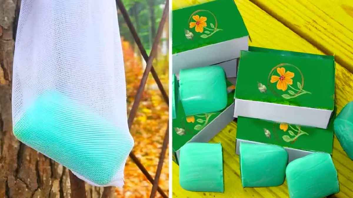 N’oubliez jamais de suspendre des morceaux de savon parfumé autour de vos plantes 