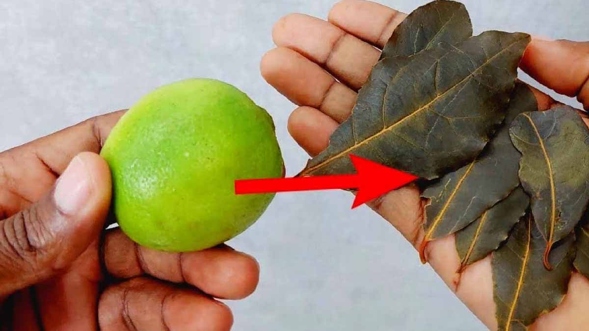 Préservez votre portefeuille et adoptez immédiatement cette vieille astuce des femmes au foyer 