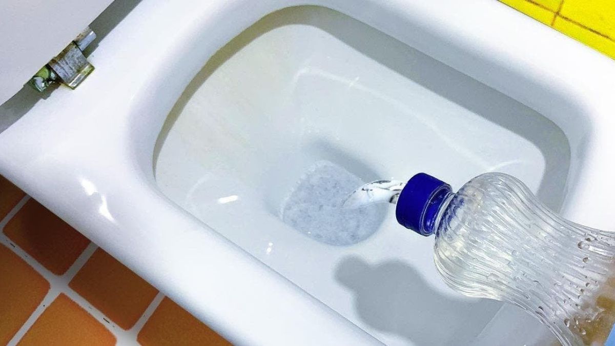 Comment rafraîchir et enlever les odeurs des toilettes avec du rince bouche ?