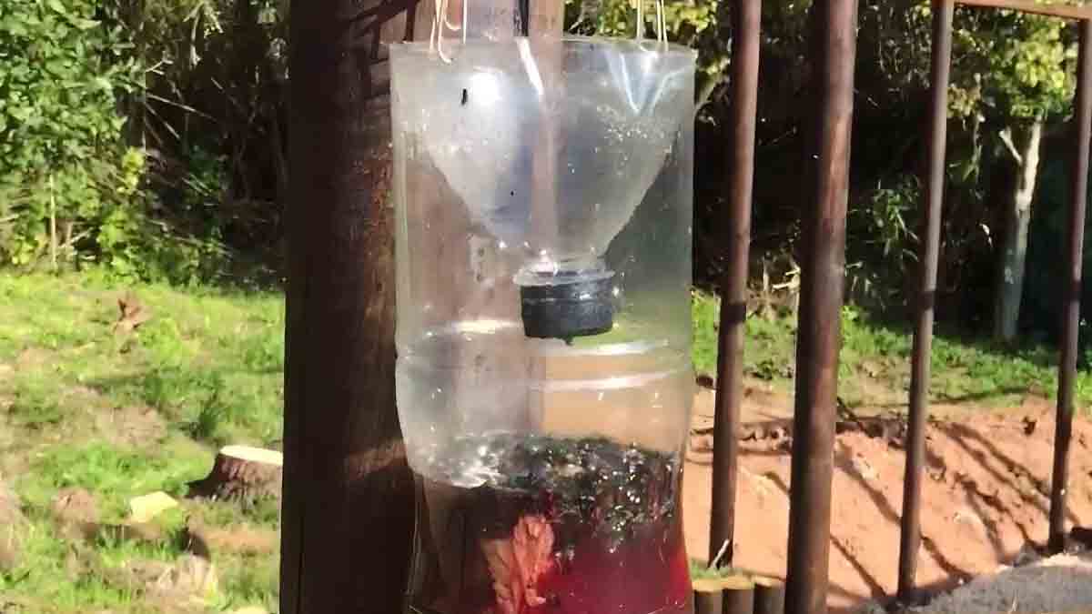Fabriquez ce piège à mouches : ces insectes détesteront votre maison après cela 