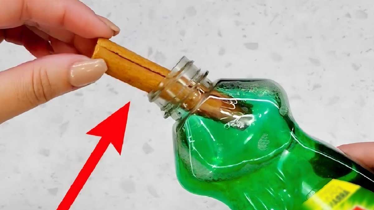 N’oubliez jamais de glisser un bâton de cannelle dans du savon à vaisselle