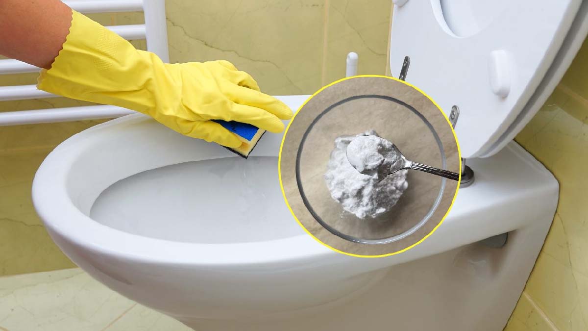 C’est comme si les toilettes n’étaient jamais utilisées : voici le produit blanchissant ultra-efficace à essayer absolument 