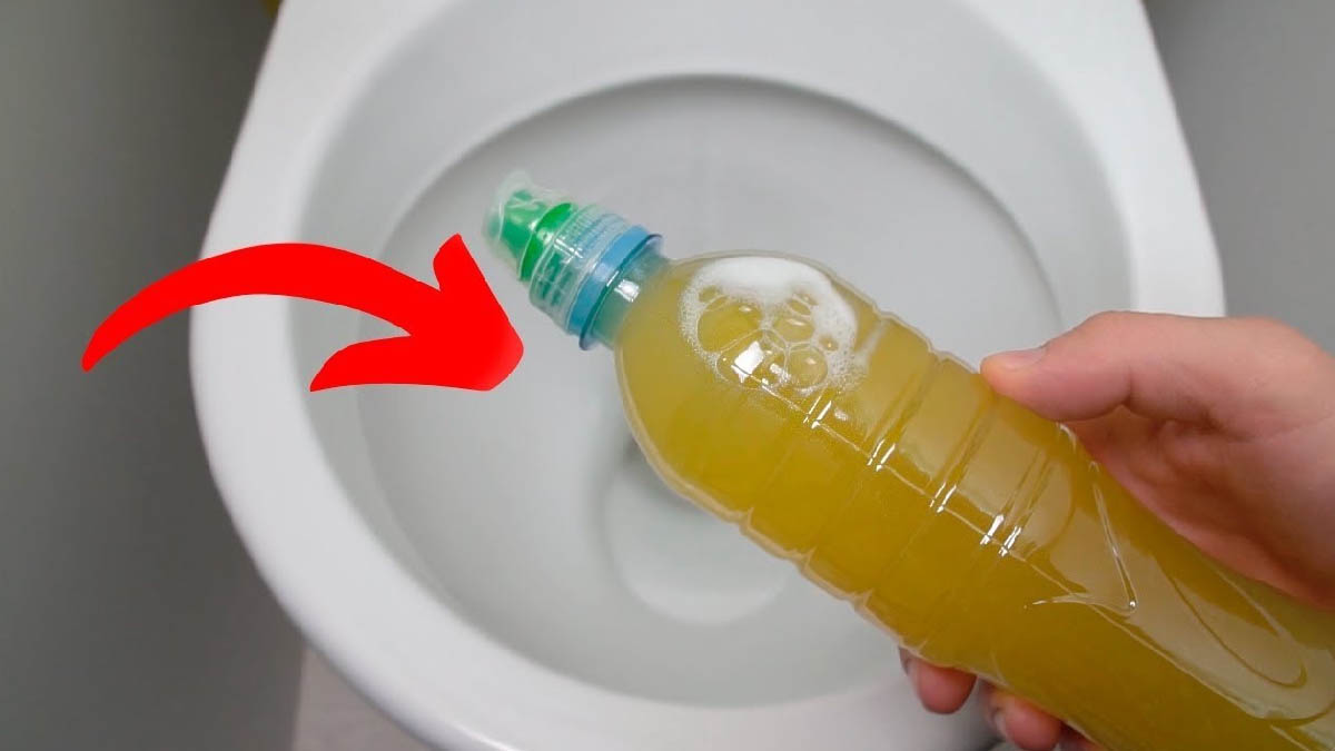 C’est LA solution que vous avez tant cherché pendant des années : voici ce que vous devez mettre dans les toilettes pour résoudre ce problème 