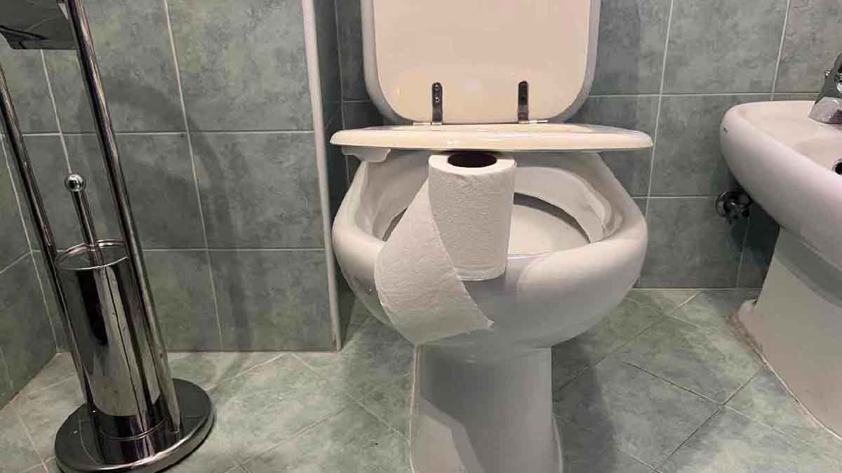 Ne sortez jamais de la maison sans poser le papier toilette comme ceci