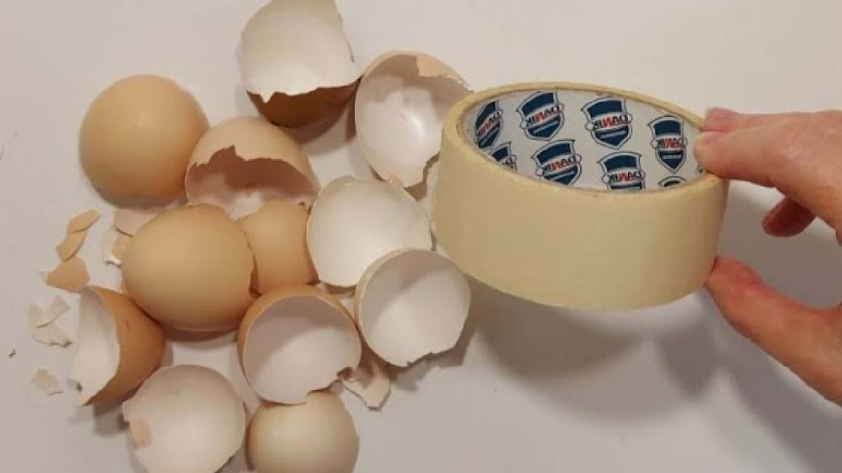 Rassemblez des coquilles d’oeuf et du ruban adhésif : ce qui en sort vous laissera sans voix 