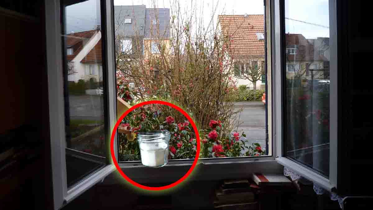 Juste une pincée sur les fenêtres et vous pouvez dire adieu au climatiseur