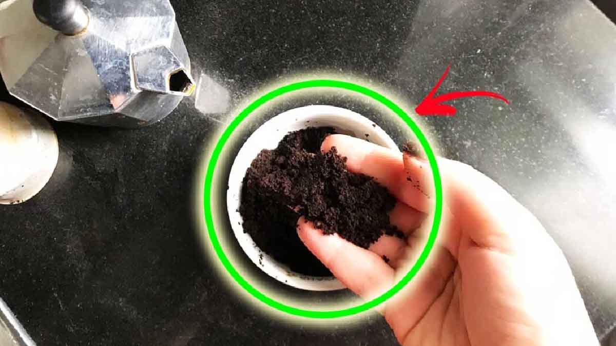 Quelques astuces de réutilisation du résidu de café que vous devez absolument connaître