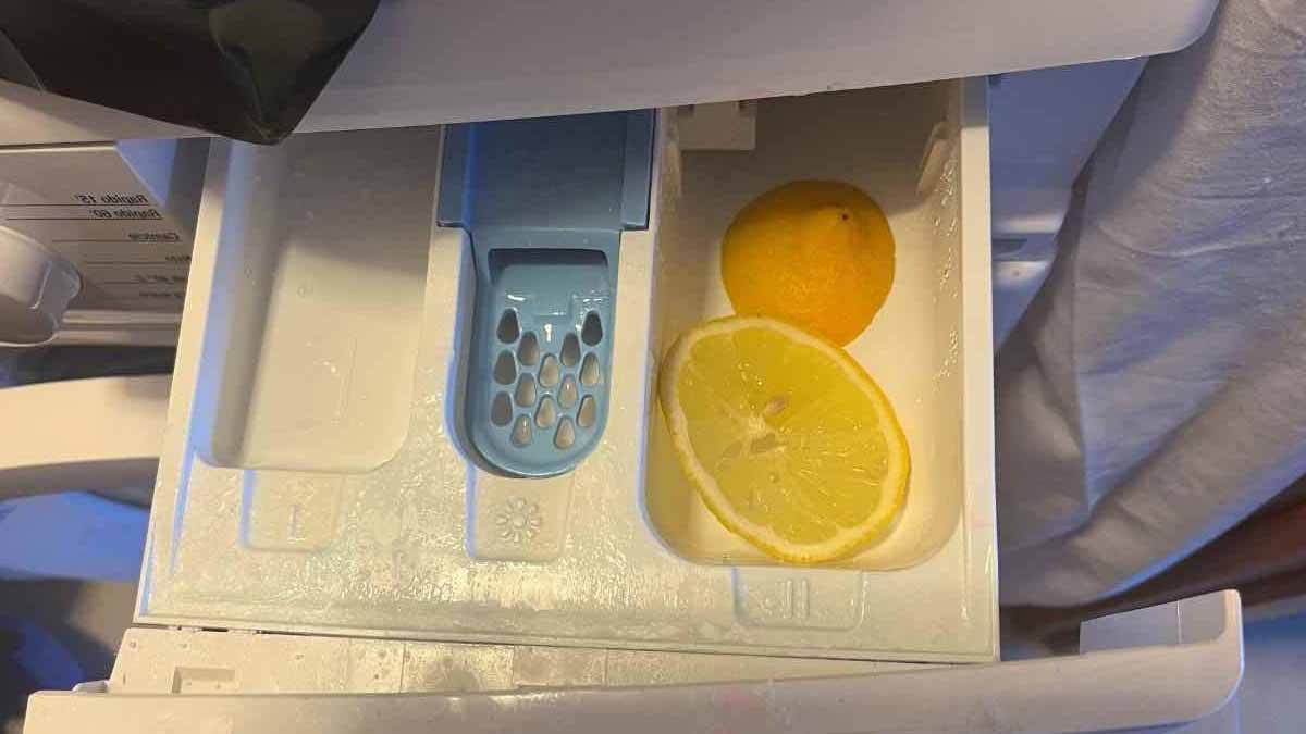Faites comme toute les ménagères et découpez 2 rondelles de citron dans le bac de la machine à laver