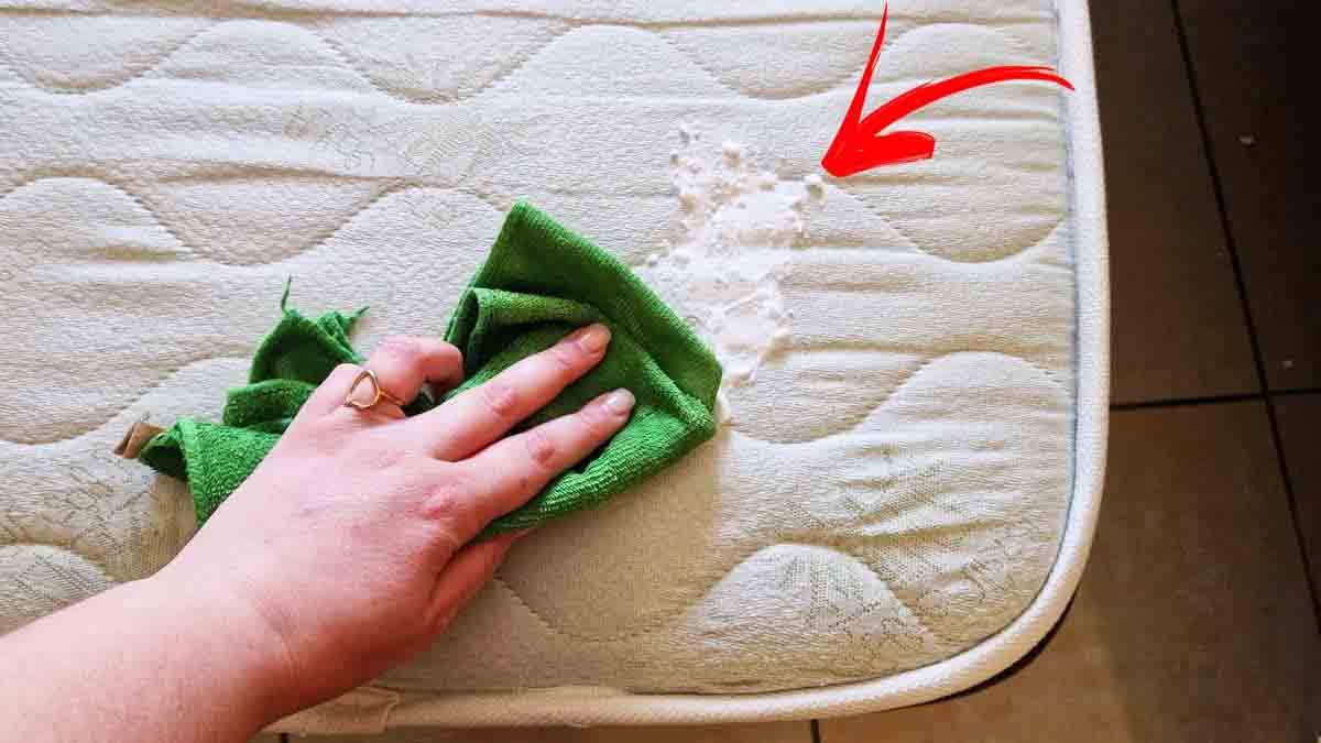 Les bons gestes à adopter pour faire le nettoyage mensuel du matelas