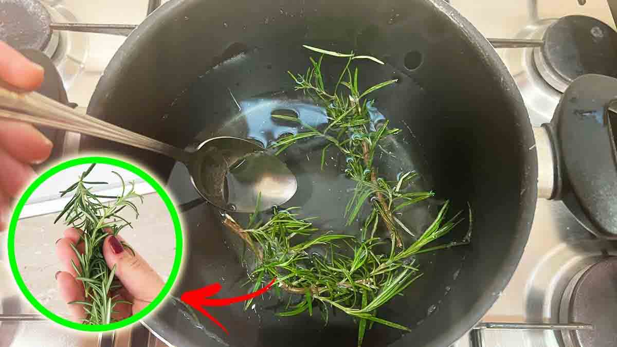 Voici toutes les astuces avec 2 brins de romarin à connaître absolument