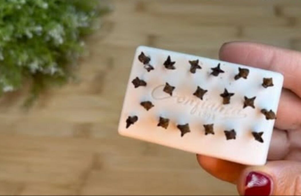 Le secret de grand-mère : pourquoi elle place un savon aux clous de girofle dans chaque pièce