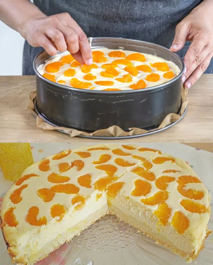 Cheesecake aux mandarines express en 5 minutes