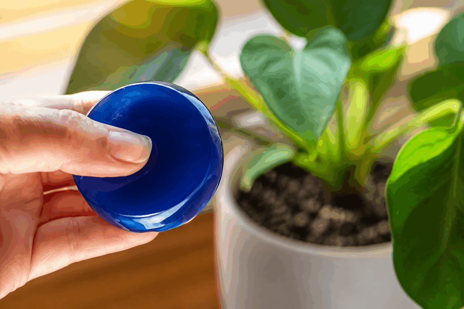 Cette astuce naturelle à 2 ingrédients pour garder vos plantes sans arroser pendant 15 jours ✨ Description Cette recette naturelle simple et efficace vous explique comment fabriquer un gel hydratant pour plantes avec seulement deux ingrédients. Facile à préparer, ce mélange permet de retenir l'eau dans le substrat, limitant ainsi les arrosages pendant près de 15 jours. Idéal pour les jardiniers pressés ou en vacances, ce soin garantit des plantes bien hydratées et en pleine santé. Informations Temps de préparation : 10 minutes Temps de cuisson : 0 minutes Nombre de portions : Suffisant pour traiter 5 à 10 plantes moyennes Difficulté : Facile Ingrédients Pour le gel hydratant naturel 10 g d'agar-agar (gélifiant naturel) 1 litre d'eau Préparation Versez l'eau dans une casserole et portez-la à ébullition. Ajoutez l’agar-agar en pluie fine tout en remuant vigoureusement pour éviter les grumeaux. Laissez bouillir doucement pendant 2 minutes en continuant de remuer, jusqu’à obtenir un gel transparent et homogène. Laissez refroidir à température ambiante pour que le gel prenne. Répartissez ensuite ce gel au pied de vos plantes, en l’incorporant légèrement dans la terre autour des racines. Ce gel libère lentement l’eau, garantissant une hydratation prolongée durant 15 jours environ. Astuces Conservez le gel dans un récipient fermé au réfrigérateur jusqu’à 5 jours. Pour les plantes en pot, adaptez la quantité de gel en fonction de la taille du pot et de la taille de la plante. Utilisez de l’eau tiède pour dissoudre l’agar-agar plus facilement et garantir une meilleure texture. Ajoutez un peu de charbon actif si vous craignez la stagnation d’eau ou les mauvaises odeurs dans le sol. Service Appliquez ce gel hydratant naturel directement dans le substrat de vos plantes d’intérieur ou d’extérieur. Parfait pour les périodes d’absence ou pour réduire la fréquence d’arrosage pendant les fortes chaleurs. Ce soin s’intègre discrètement au jardin ou à la décoration végétale sans modifier l'aspect naturel des plantations.